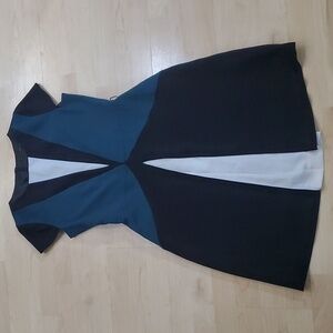 Zara Blue, Black and White Dress